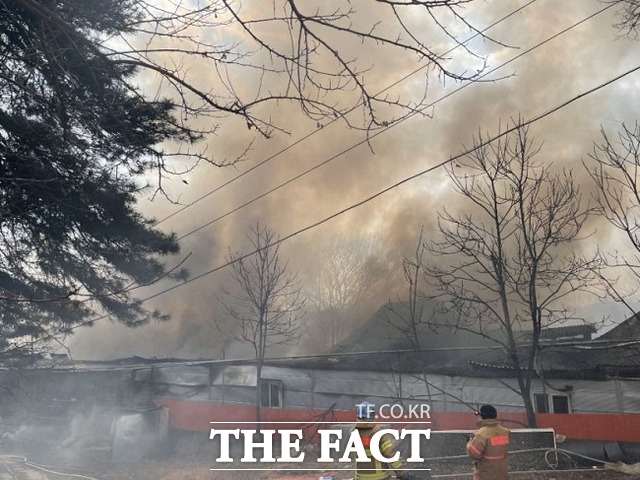 영주 장수면 돈사화재/영주소방서 제공