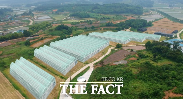 순창군이 경영실습 임대농장 운영 1년차 맞아 운영성과를 분석한 결과 시설영농이 처음인 청년농업인들의 성공적인 농업안착에 큰 도움을 주고 있는 것으로 평가됐다고 21일 밝혔다. /순창군 제공