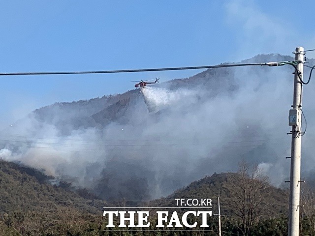 소방헬기가 경북 영덕에서 발생한 산불을 끄고 있다. / 산림청 제공