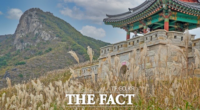 산청 황매산 가을 억새 풍경/산청군 제공