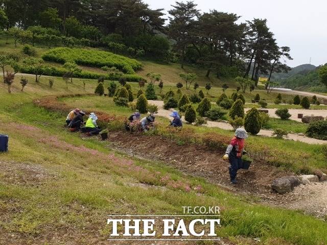 화순군이 취업 취약계층의 안정적인 일자리를 제공하는 2022년 상반기 재정지원 일자리사업을 펼친다. 사진은 지역공동체 일자리사업 중 세계유산 고인돌 유적지 정비사업 모습./화순군 제공