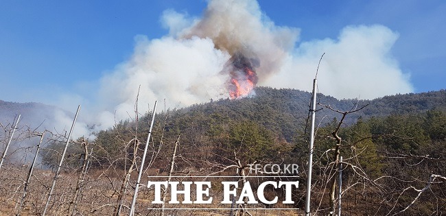 의성의 한 야산에서 산불이 발생해 산림당국이 진화에 나섰다/산림청 제공