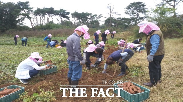 정읍시농업기술센터 관계자는 “우리 시를 제2의 행복 삶터로 선택한 귀농인들이 안정적으로 농촌에 정착할 수 있도록 다양한 지원정책을 펼쳐 고령화와 산업화로 인구가 감소하고 있는 농촌지역에 활력을 불어넣을 수 있도록 노력하겠다”라고 말했다. / 정읍시 제공