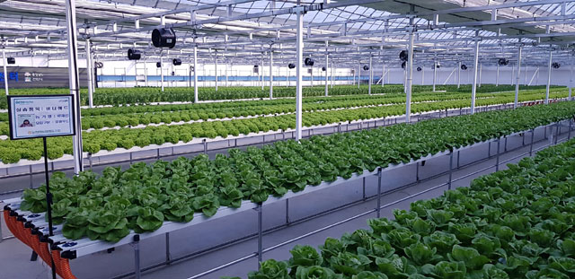 ㈜퍼밋은 작물 선정부터 생육 시설 설계, 시공 재배 후 관리, 출하까지 관리하는 스마트팜 토탈 솔루션을 제공하는 스마트업이다. /하이트진로 제공