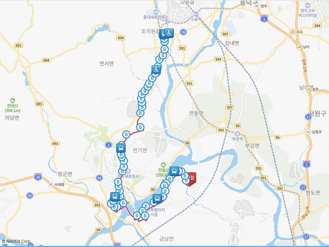 세종 601번 시내버스 노선도 / 자료 출처=세종시 교통정보시스템