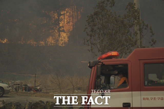 4일 경북소방본부 등에 따르면 이날 오전 11시 17분께 울진군 북면 한 야산에서 불이 났다. /경북소방본부 제공