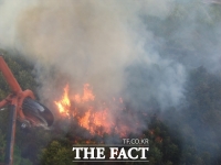  강원 영동·영남지역 대형산불위험 주의보 발령