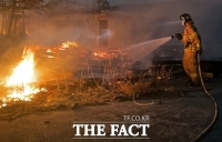  文대통령 '울진·강원 삼척, 특별재난지역 선포 검토' 지시