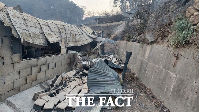 경북 울진 북면 신화2리 화동마을 20여채가 산불로 전소됐다/울진=이민 기자