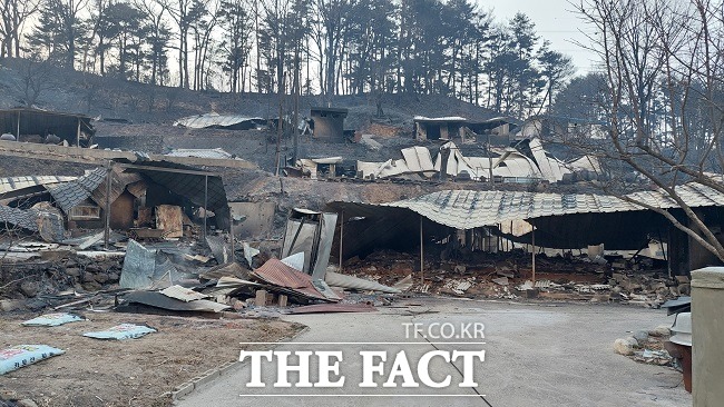 경북 울진 북면 신화2리 화동마을 20여채가 산불로 전소됐다/울진=이민 기자