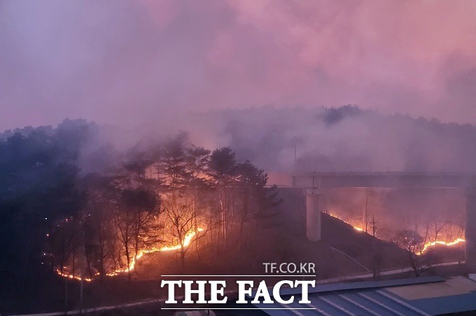 금융권이 경북 울진과 강원 삼척 등 산불 피해를 입은 지역과 주민들을 위해 대출금 상환 유예, 만기 연장 등 금융 지원을 선제적으로 시행한다. /울진=이민 기자