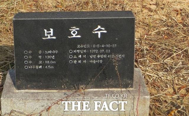 정부세종청사 1동 국무총리실 뒤 언덕에 있는 느티나무 고목의 안내판 모습. / 세종= 최준호 기자