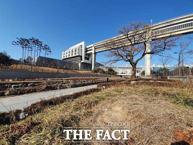 정부세종청사 서쪽 방축천 변에 있는 200여년생 왕버들의 2022년 3월 6일 모습. 당초 이곳에 있던 3그루 가운데 2그루는 죽었다. / 세종= 최준호 기자