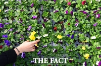  '봄이 왔어요~' [포토]