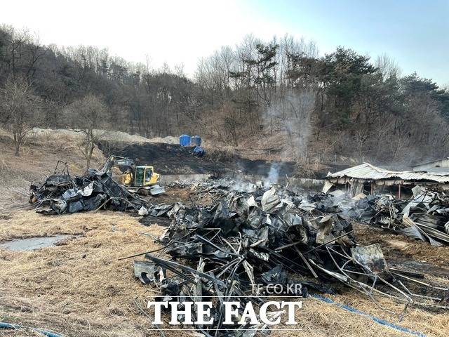 경북 영주의 한 돼지농장에서 원인을 알수없는 불이나 돼지 860여마리가 폐사됐다./영주시 제공