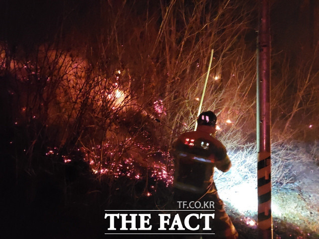 대전소방본부 소속 대원이 경북 울진에서 산불 진압 작전을 수행 중이다. / 대전소방본부 제공