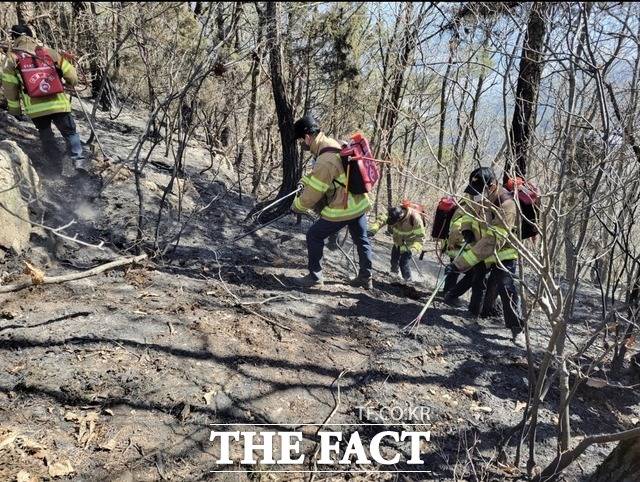 ‘대구 가창산불’이 13일째 진화중인 가운데 달성군이 방화 가능성을 제기해 경찰이 수사에 나섰다./대구소방안전본부 제공