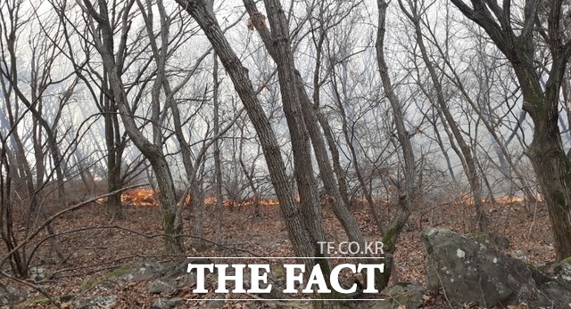 ‘대구 가창산불’이 13일째 진화중인 가운데 달성군이 방화 가능성을 제기해 경찰이 수사에 나섰다. /대구소방안전본부 제공