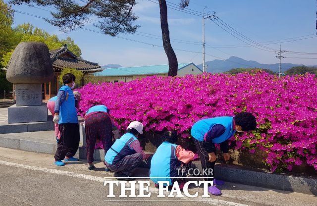 남원시는 어르신의 활기차고 건강한 노후생활을 위해 추진하는 노인일자리 및 사회활동지원 사업이 고령층의 일자리에 새로운 활력을 불어넣고 있다고 13일 밝혔다. /남원시 제공