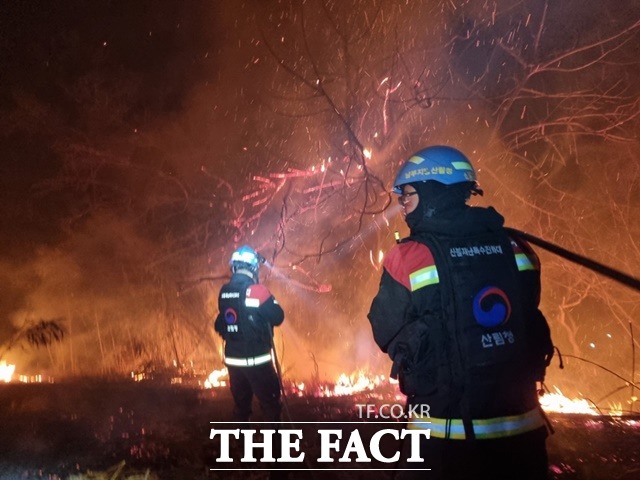 산림당국이 경북 울진·강원 삼척 산불의 주불 진화 목표 시점을 12일로 잡았다. 사진은 지난 8일 특수 진화대원의 산불 진화 모습. / 산림청 제공