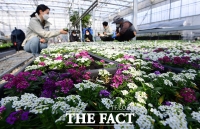  [오늘의 날씨] 곳곳 반가운 봄비…낮 최고 17도