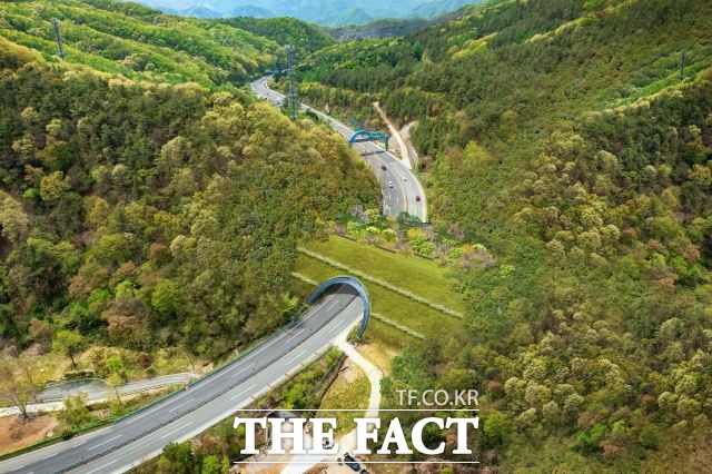 진안군이 국도 26호선 진안-전주 구간에 위치한 금남정맥(보룡재) 생태축 복원사업에 나선다고 14일 밝혔다. /진안군 제공