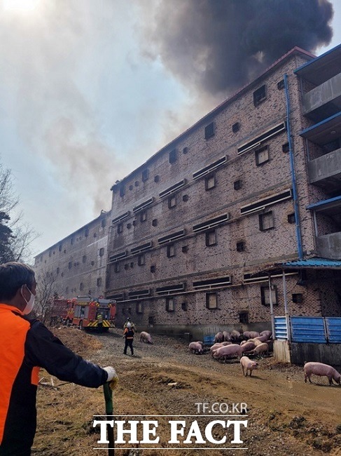 경북 군위군 소보면의 한 돈사에서 화재가 발생했다/의성소방서 제공