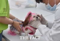  고양시, 취약가구 반려동물 의료·돌봄서비스 지원