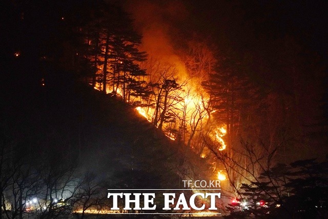 한국임업인총연합회가 경북과 강원 산불에 대한 입장문을 발표했다. / 산림청 제공