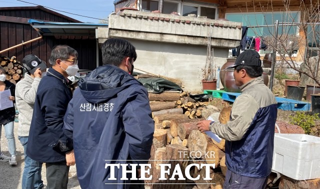 서부지방산림청은 소나무재선충병 피해의 인위적 확산을 방지하고, 건전한 유통·취급 질서를 확립하기 위해 봄철 소나무류 이동 특별단속을 추진하고 있다. /서부지방산림청 제공