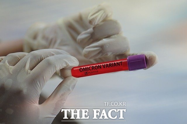 광주·전남에서 코로나19 오미크론 변이 바이러스 감염이 폭증하면서 3일 1477명이 확진 판정을 받아 역대 최다 기록을 갈아치웠다./픽사베이
