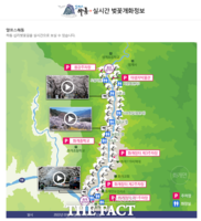  하동화개 십리벚꽃길 개화상황 실시간 서비스