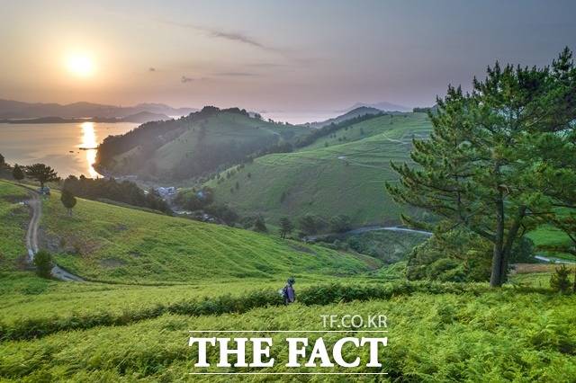 남해바래길 고사리밭길 7월 초 모습/남해군 제공