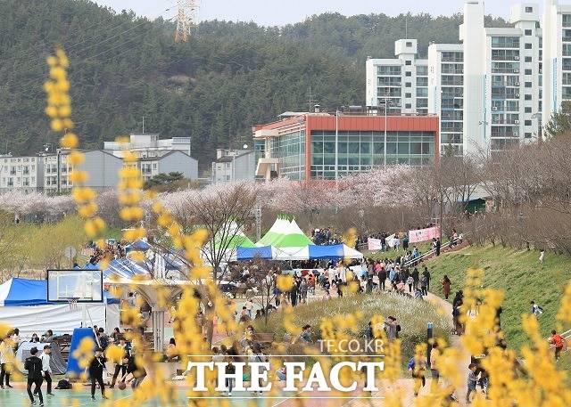 지난 2019년에 열린 정림동 벚꽃축제의 모습. / 대전 서구청 제공