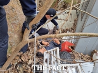  실종된 60대 독거노인 사흘 만에 극적 구조