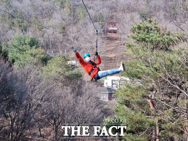대전청소년수련마을에 새로 설치된 300m 짚라인 / 대전시 제공