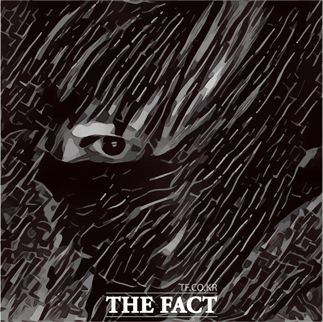 사진(이미지)은 기사와 무관함 / 픽사베이