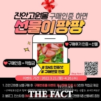  진안군 '진안고원몰' 구매인증 후기 이벤트 진행