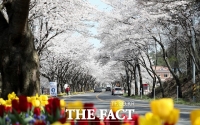  대전 동구, ‘2022 대청호 벚꽃축제’ 비대면 개최