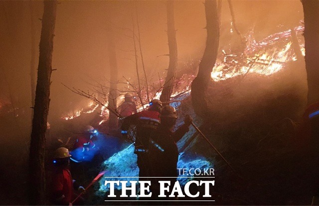 남원시는 4월 1일부터 6일까지 청명·한식 기간 산불방지 특별대책을 추진할 계획이다. /남원시 제공