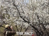  [오늘의 날씨] 아침은 '쌀쌀' 낮은 더 '포근'…일교차 15~20도