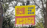  신안군, 산림 내 불법행위 집중단속
