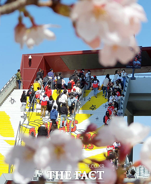 KIA 타이거즈와 LG 트윈스의 개막 경기가 열리는 광주 기아챔피언스필드에 벚꽃이 관중들을 반기고 있다.