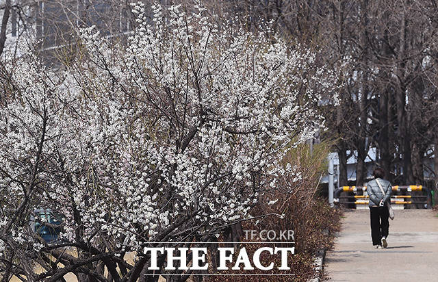 월요일인 4일은 전국이 대체로 맑고 일교차가 큰 날씨가 이어지겠다./이동률 기자