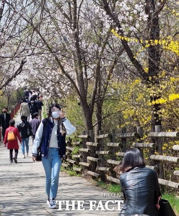 꽃을 배경으로 기념사진 촬영하는 시민들. / 이선영 인턴기자