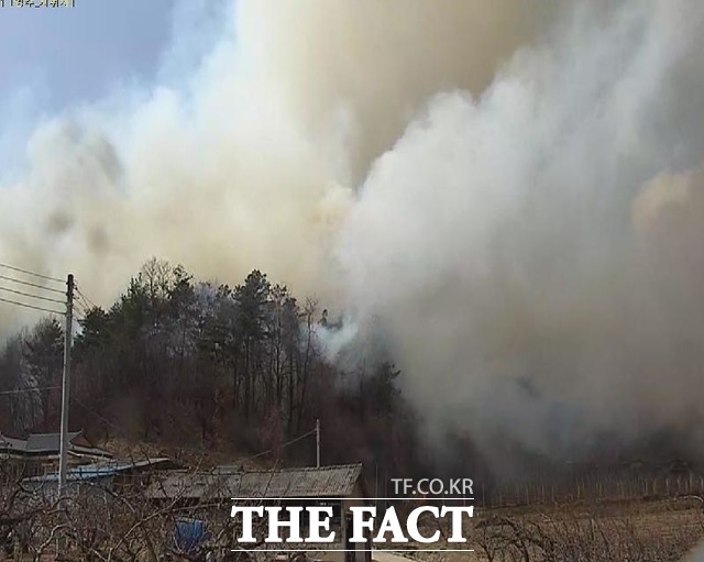 경북 봉화의 한 야산에서 산불이 났다/경북소방본부 제공