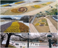 남원시, 주요도로변에 꽃단지 '봄꽃' 식재
