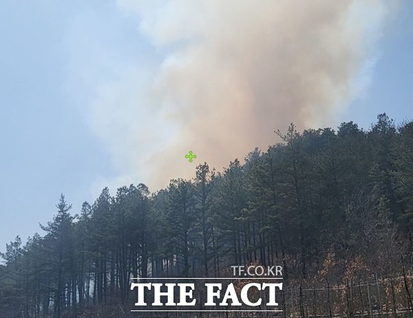 경북 청송군의 한 야산에서 산불이 나 산림당국이 진화에 나섰다. /산림청 제공