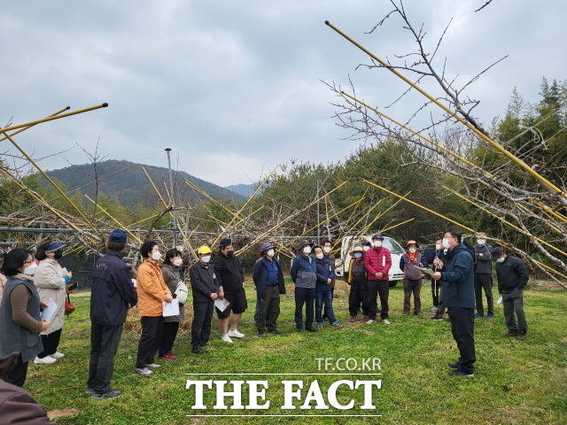 장성군농업기술센터는 지난 2월부터 과수, 채소, 특작 등 5개 분야 23개 작목을 대상으로 품목별 영농정보 및 재배 기술을 알려주는‘2022년 품목별 농업인 교육’을 추진 중이다고 6일 밝혔다./장성군 제공