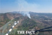  충남 예산군 대흥면서 산불...0.1ha 소실